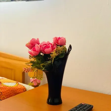 Nord, Plaja Acapulco-debarcader, Garsoniere Four Studios, Bucatarie Comuna, Baie Proprie, Etaj 4, Fara Lift Эфорие Норд